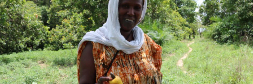 Muricasa : support to very small business in Senegal